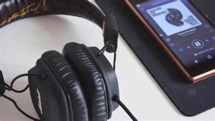 Best Practices for Building and Managing Playlists in Spotilocal