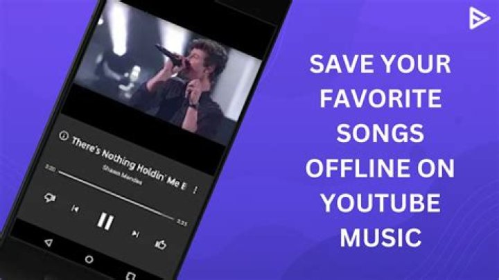 Mastering Offline Downloads: ViMusic Tips and Tricks